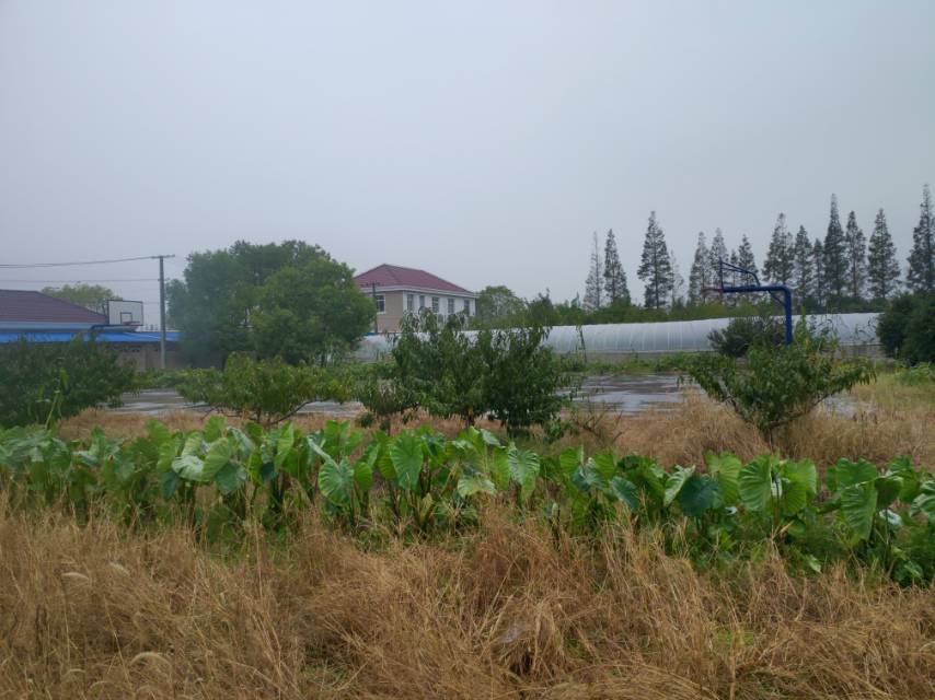 雙津村健身步道3 雙津村健身步道3
