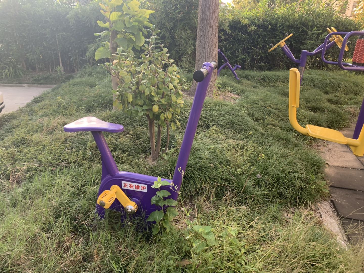 雙位健身車 雙位健身車