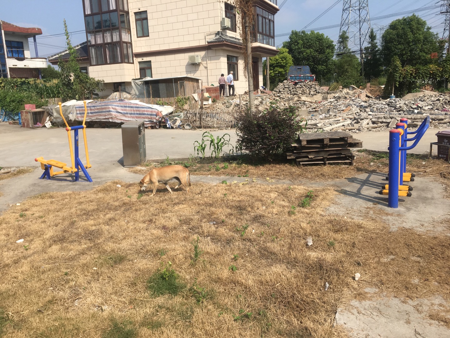 曙光村徐家埭健身點