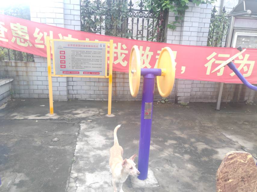 臂力訓練器 臂力訓練器