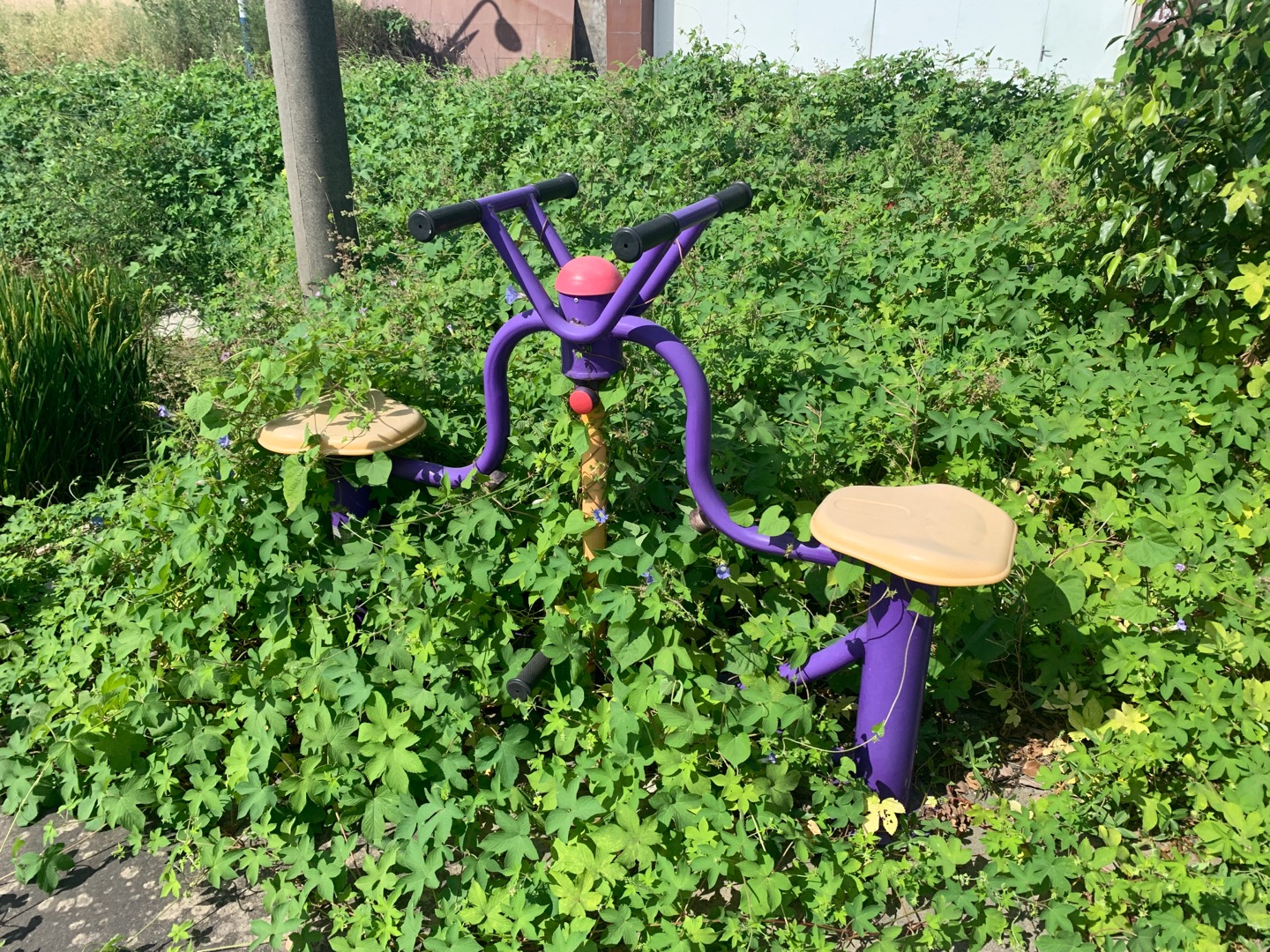 下肢康復(fù)器 下肢康復(fù)器