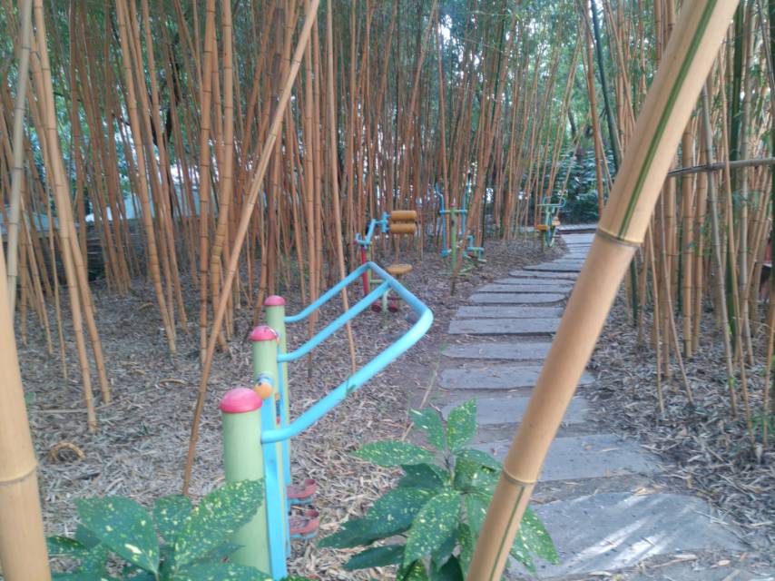 川新52支弄10號(hào)小花園 川新52支弄10號(hào)小花園