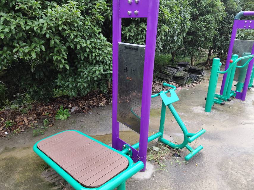 背肌/腹肌訓練器 背肌/腹肌訓練器