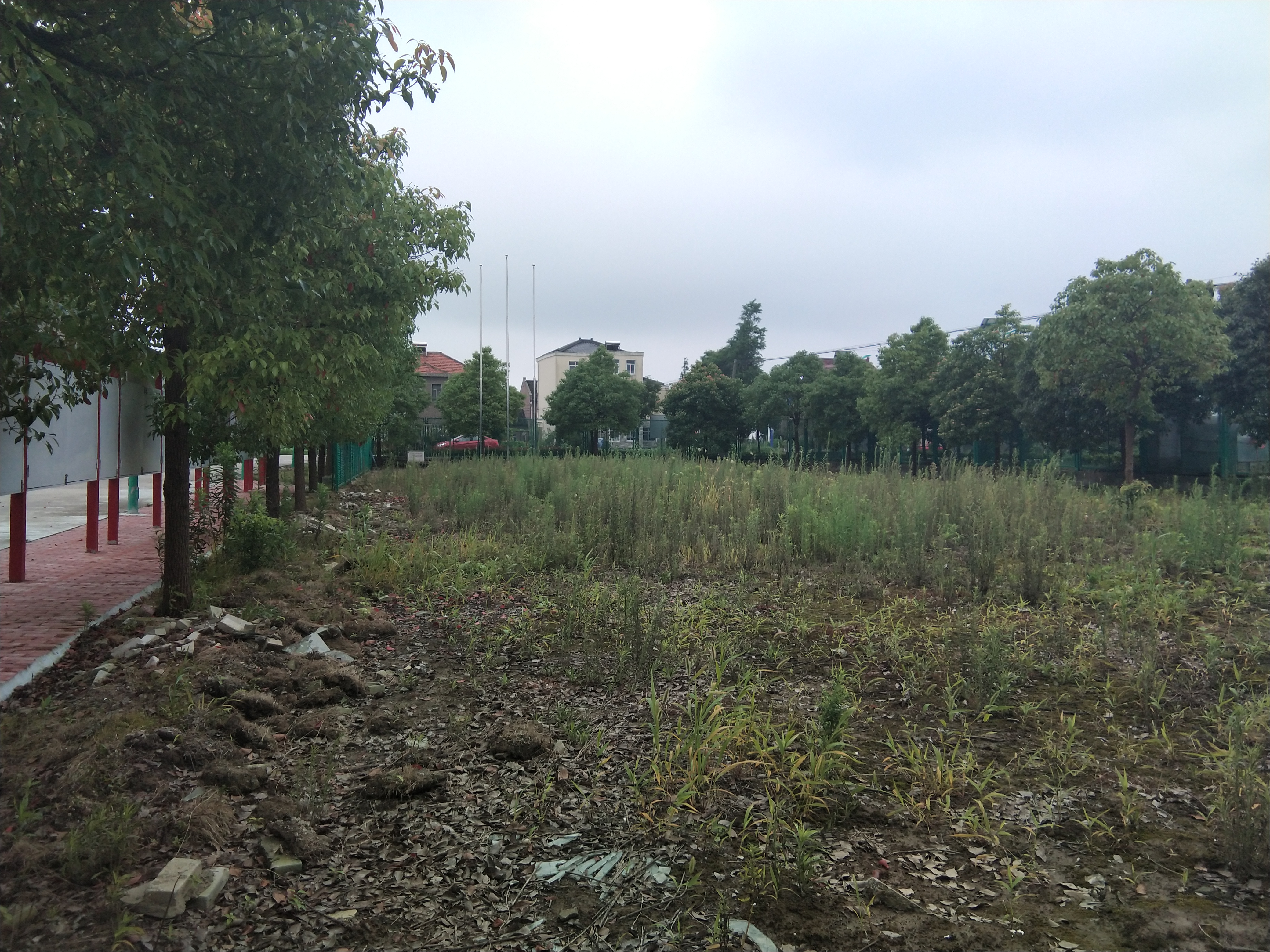 奉城鎮(zhèn)分水墩村百姓健身步道 奉城鎮(zhèn)分水墩村百姓健身步道