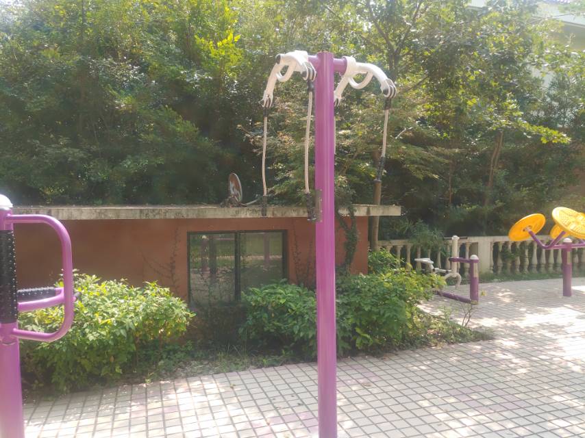 上肢牽引器(兩站位) 上肢牽引器(兩站位)