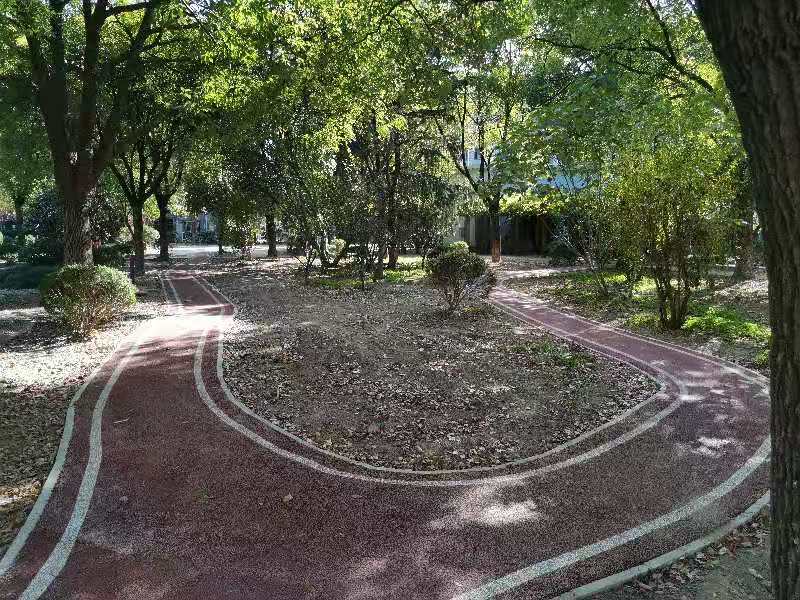 淞南五村一居委市民健身步道 淞南五村一居委市民健身步道
