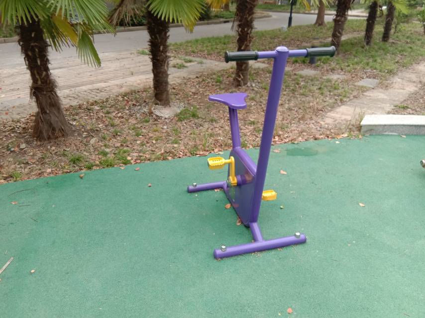 雙位健身車 雙位健身車