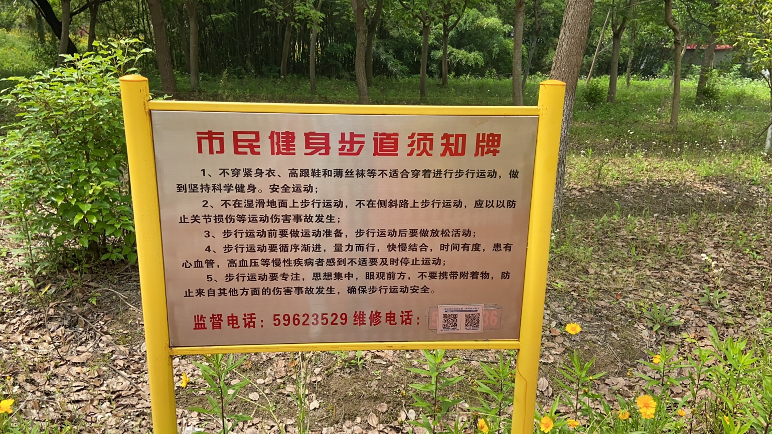 豎新鎮(zhèn)惠民村玉蘭公園健身步道 豎新鎮(zhèn)惠民村玉蘭公園健身步道