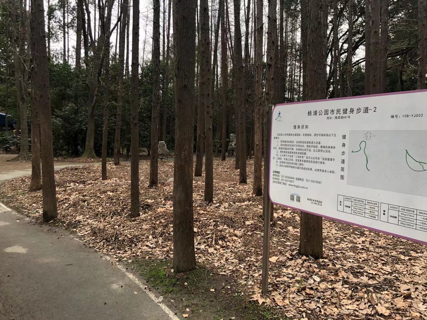 楊浦公園市民健身步道-2(缺信息) 楊浦公園市民健身步道-2(缺信息)