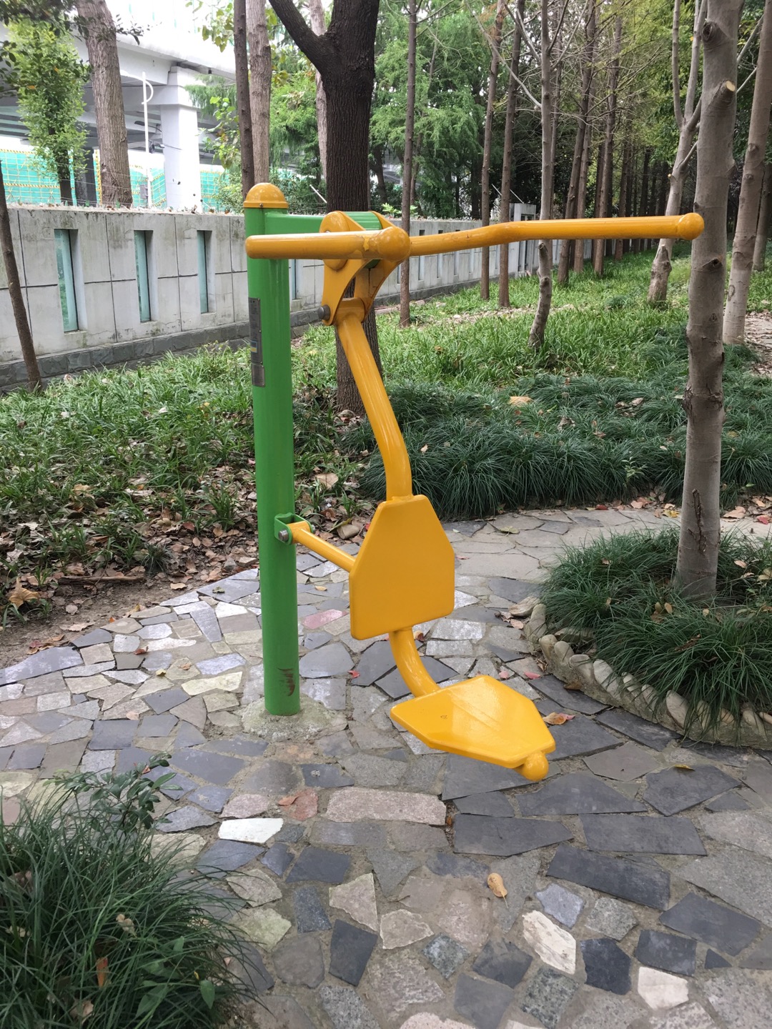 坐拉練習器 坐拉練習器