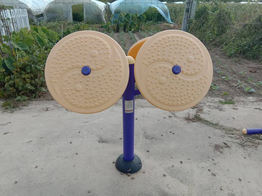 太極推盤 太極推盤