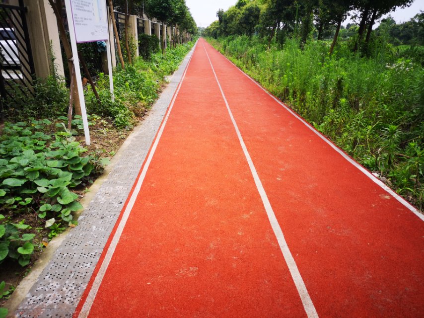 泰順佳苑健身步道 泰順佳苑健身步道