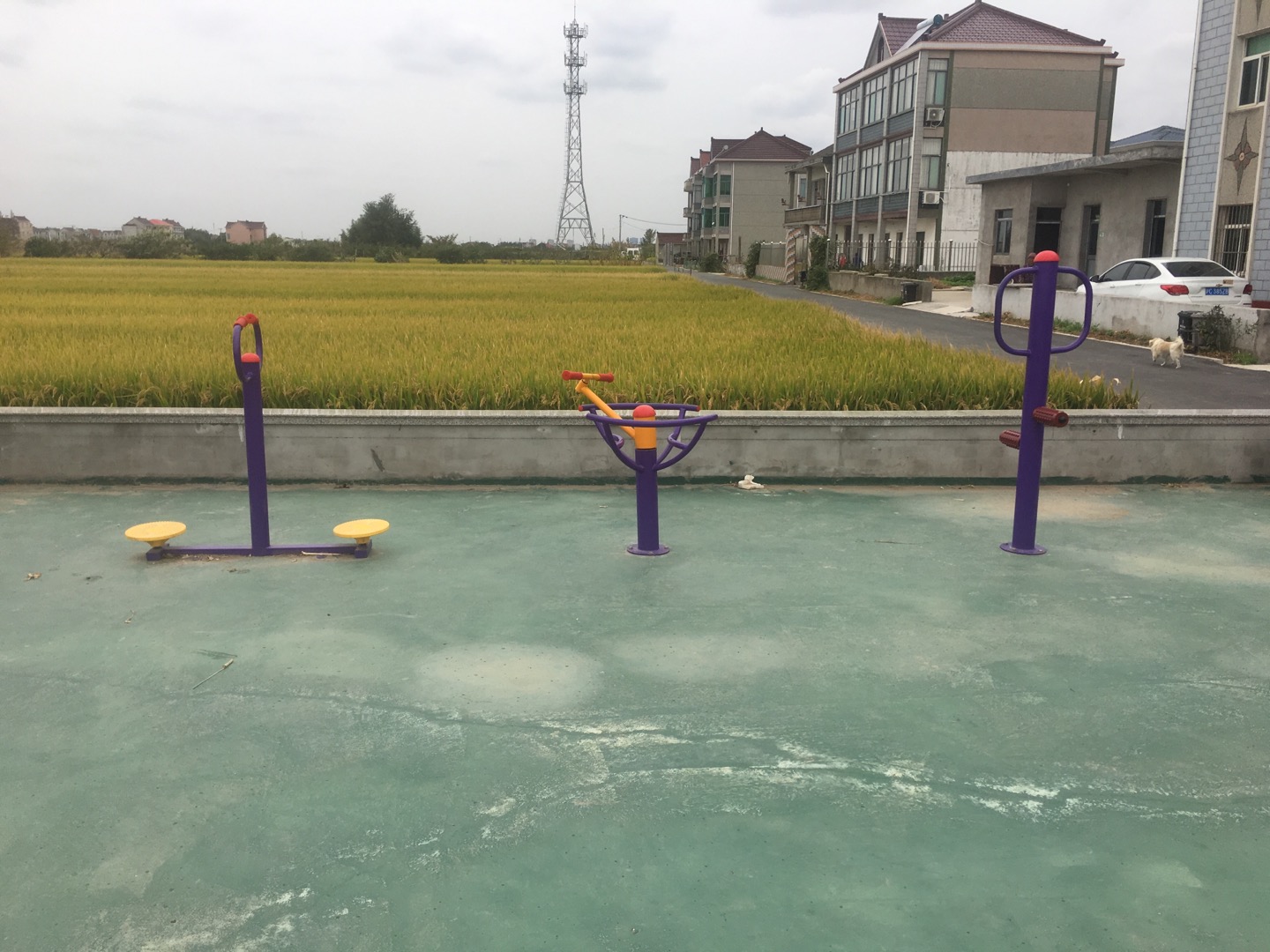 老港鎮(zhèn)建港村民委員會(huì)18組健身苑點(diǎn)