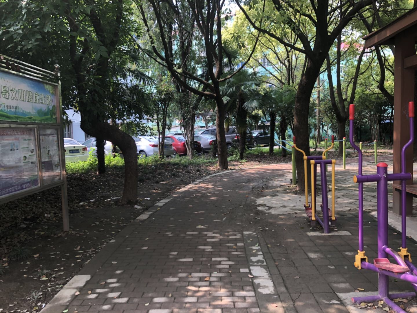 逸仙二村五居委健身苑點(diǎn)一