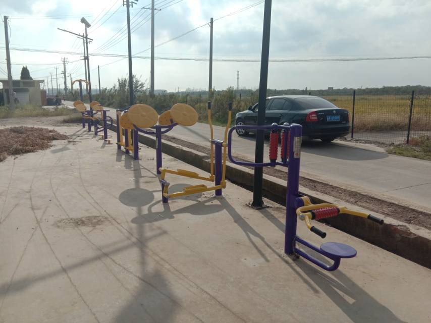 崇明區(qū)中興鎮(zhèn)富圩村3隊健身點