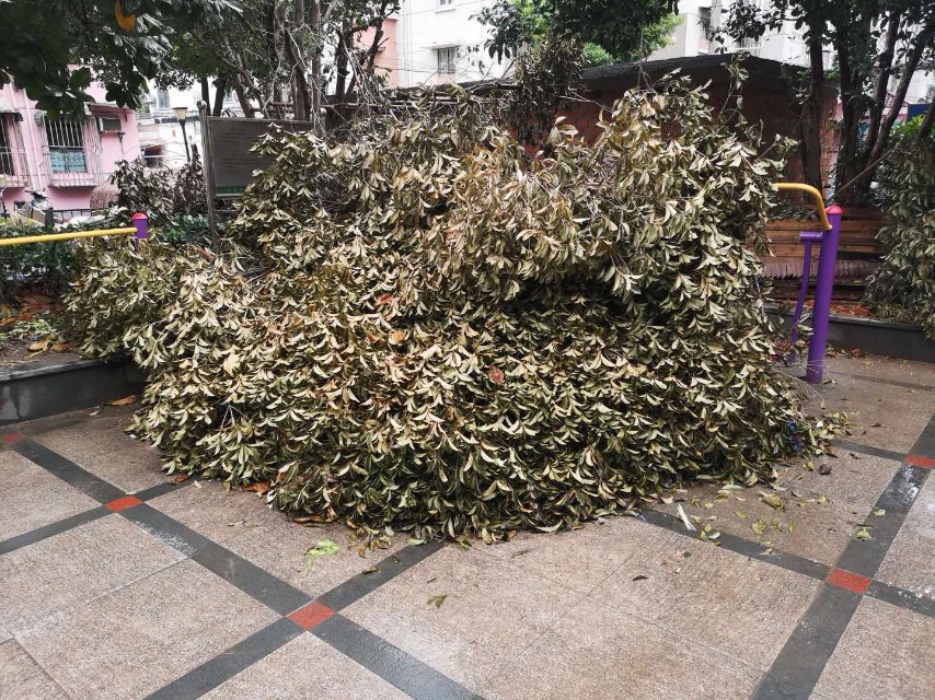 五四中港二村綠地健身點(diǎn) 五四中港二村綠地健身點(diǎn)