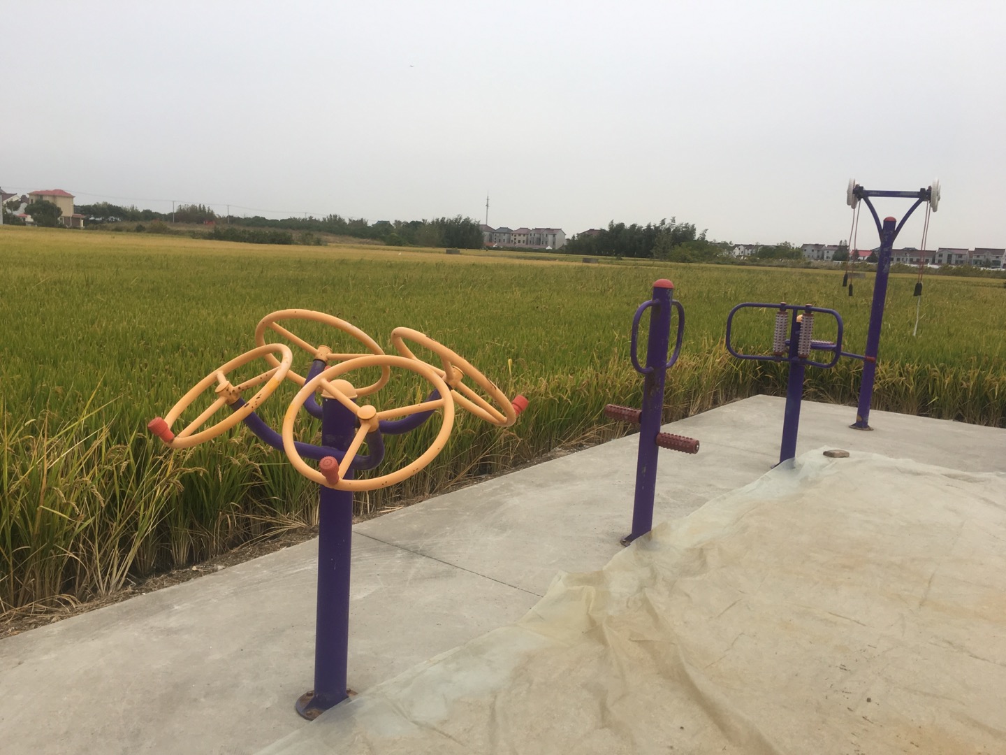 老港鎮(zhèn)欣河村民委員會(huì)鐵橋4組健身苑點(diǎn)