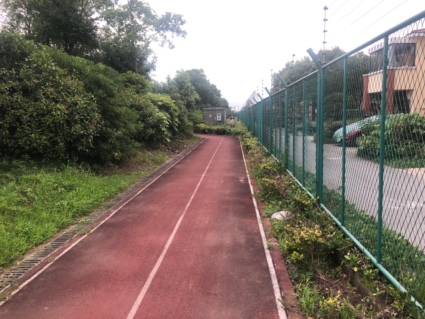 新葉村第一健身步道 新葉村第一健身步道