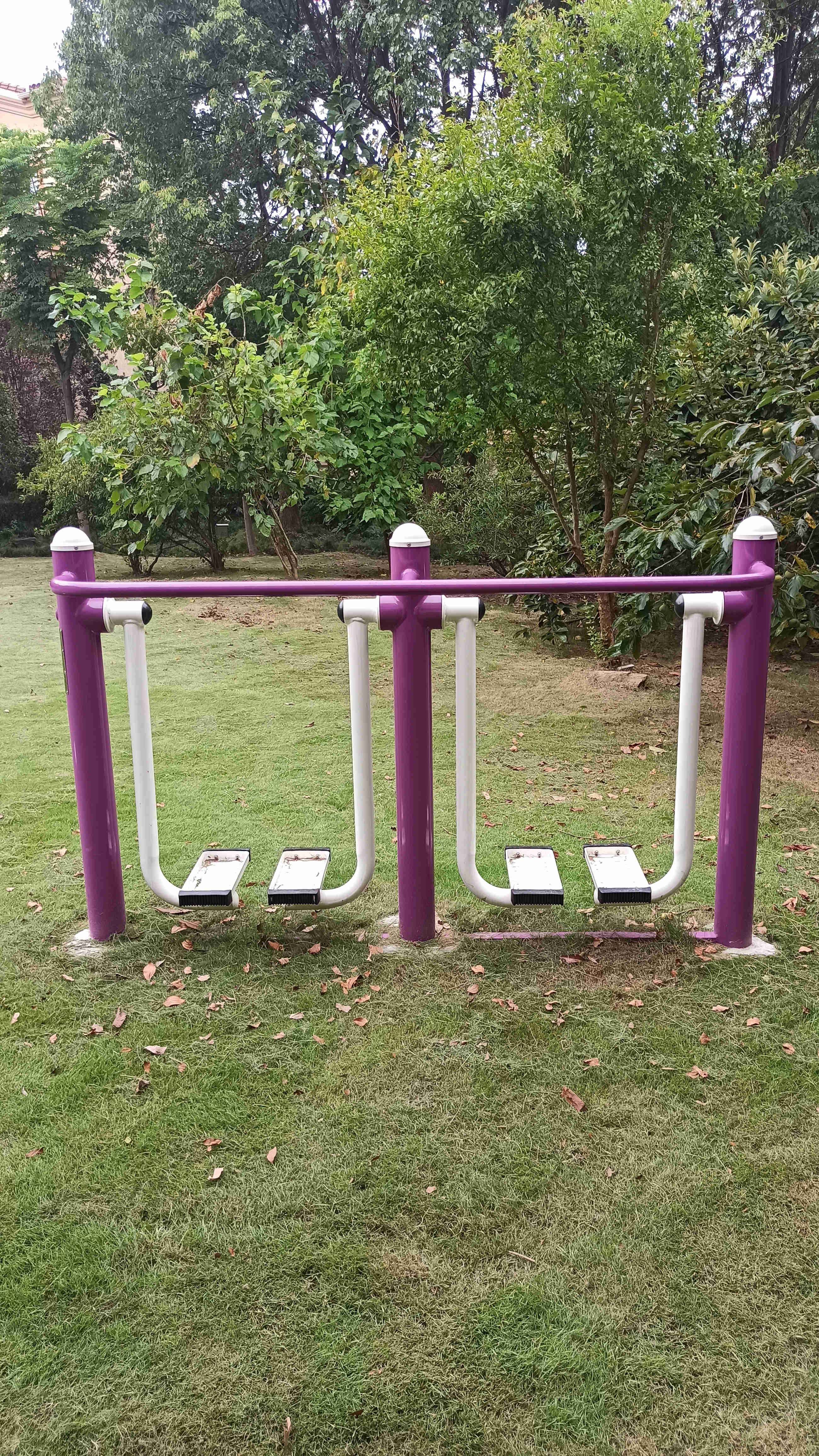 雙位漫步機(jī) 雙位漫步機(jī)