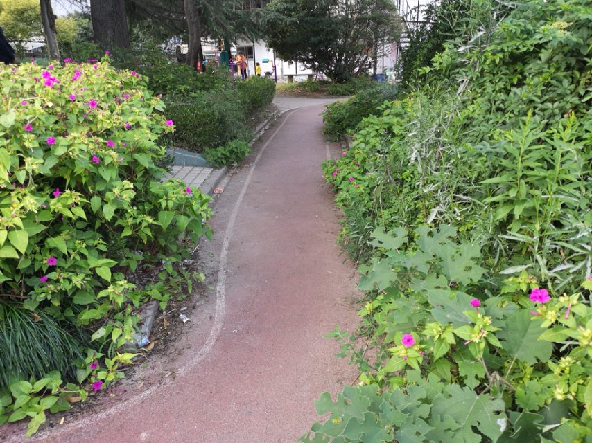 蓮蒲府邸居委健身苑點C