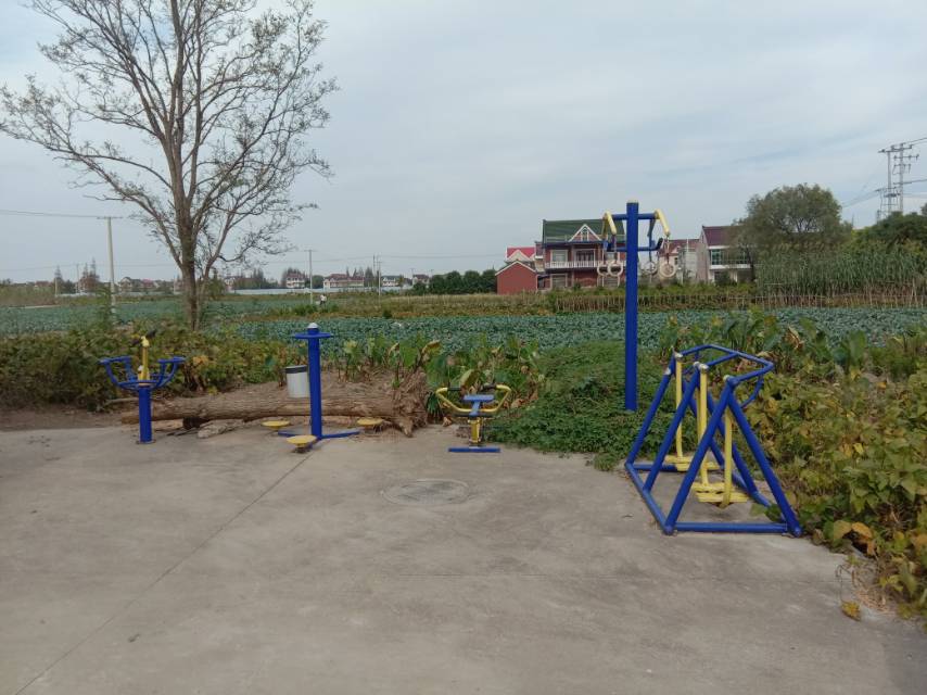 崇明區(qū)中興鎮(zhèn)汲浜9隊(duì)健身點(diǎn)