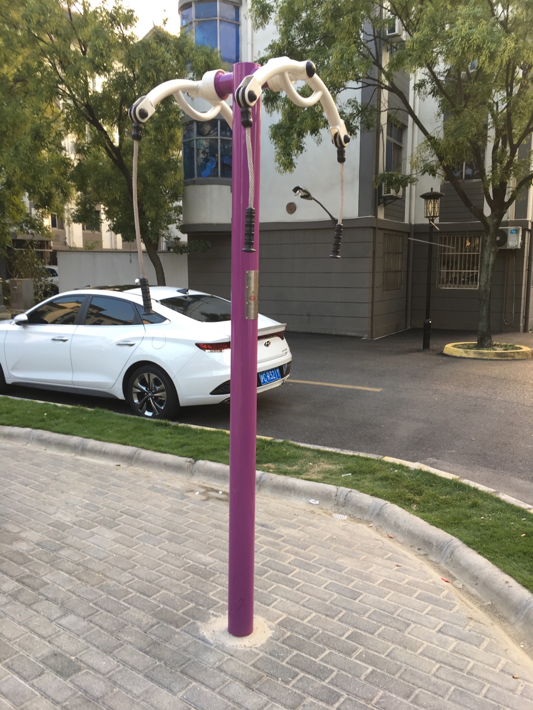 上肢牽引器(兩站位) 上肢牽引器(兩站位)