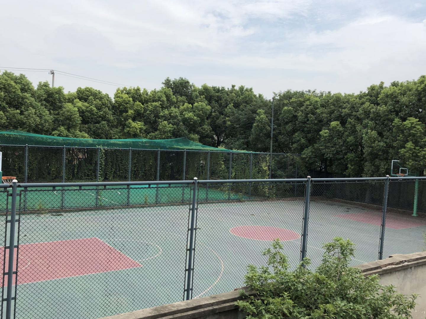 果園河市民球場 果園河市民球場
