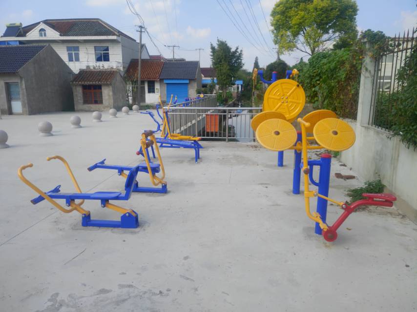 大同村蟠龍10隊健身點