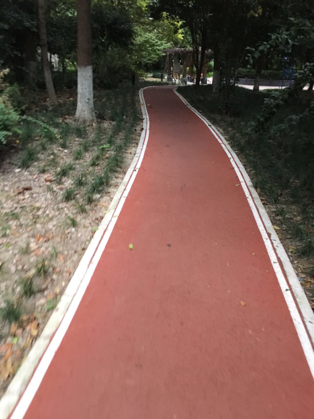 中環(huán)花苑市民健身步道