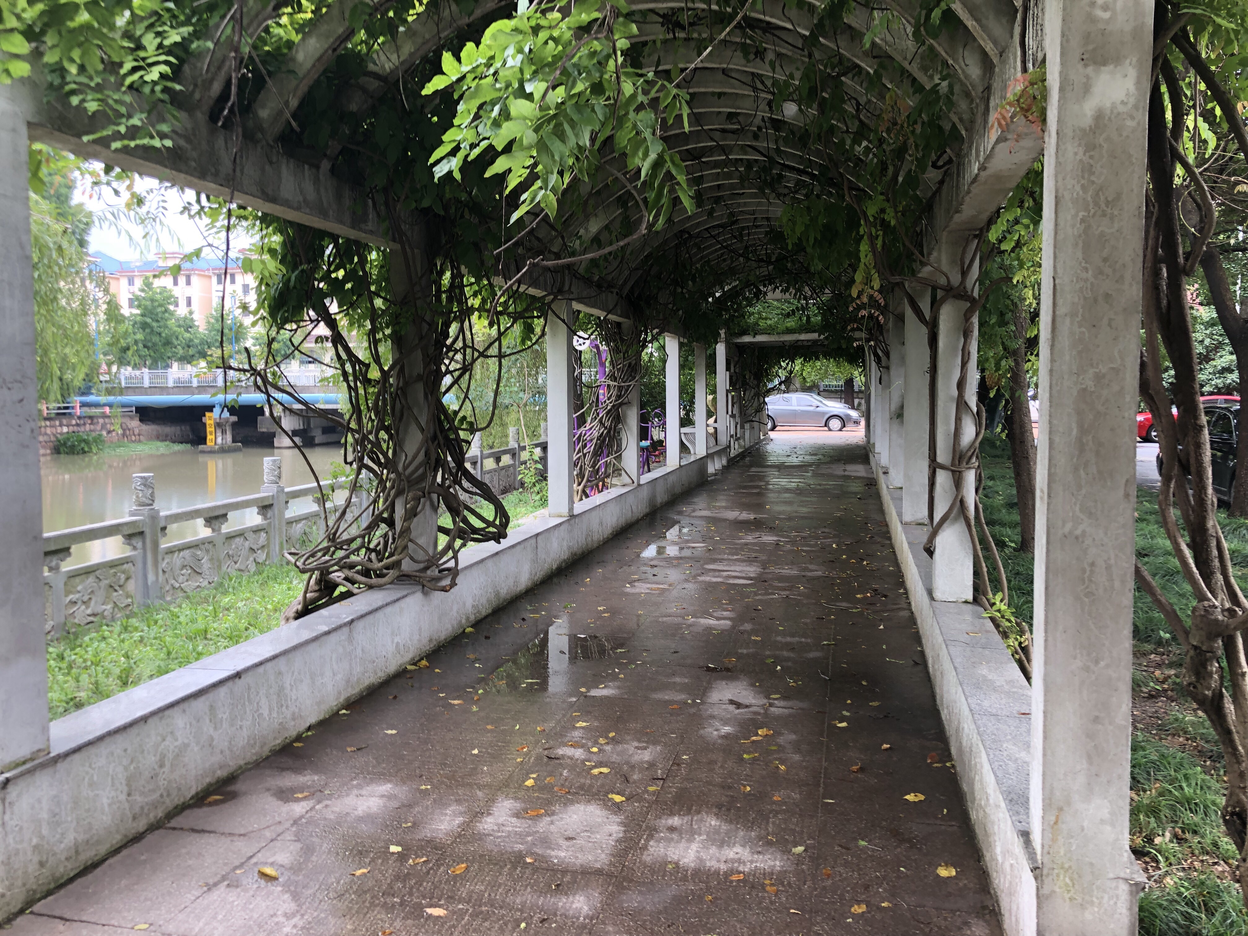 貝港一居健身點3 貝港一居健身點3