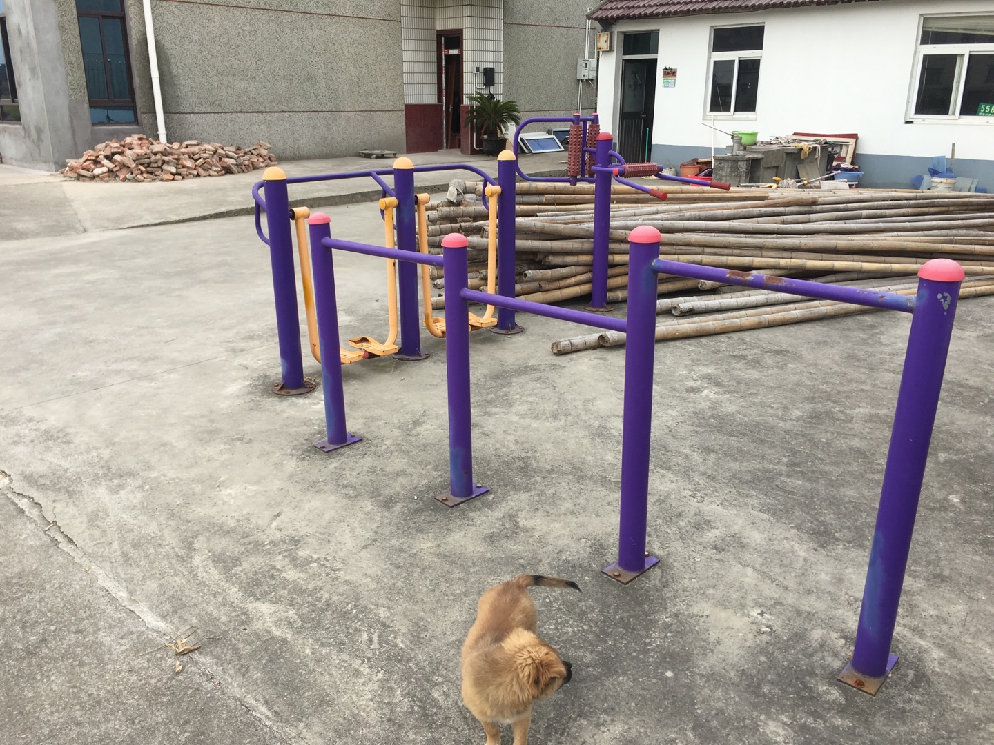 老港鎮(zhèn)建港村民委員會11組健身苑點