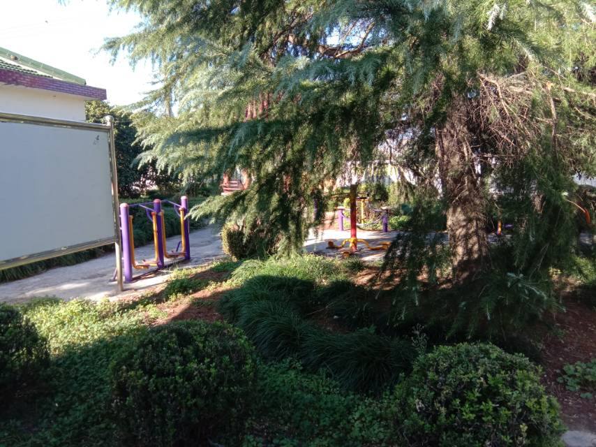 新元村健身點(diǎn)（二）